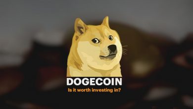 The-Future-Of-Dogecoin